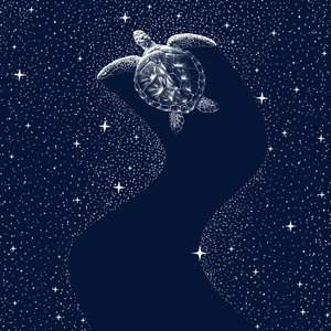 Kosmisk havssköldpadda av Alirıza ÇAKIR