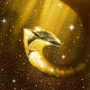 Den gyllene kosmiska valen av Alirıza ÇAKIR
