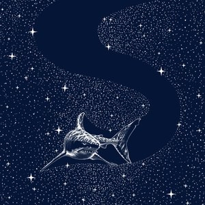 Stora Vita Galaxen av Alirıza ÇAKIR