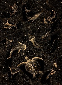 Havets liv – Galaxen av Alirıza ÇAKIR