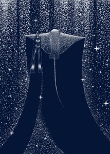 Starlit Ray – en följeslagare av Alirıza ÇAKIR