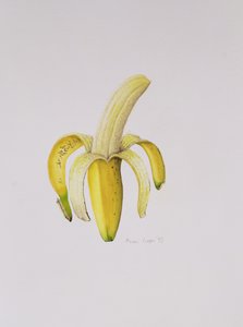 En halvskalad banan, 1997