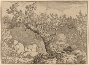 Idrottsman nära ett stort träd, förmodligen ca. 16451656. av Allart van Everdingen