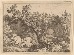 Idrottsman nära ett stort träd, förmodligen ca. 16451656. av Allart van Everdingen