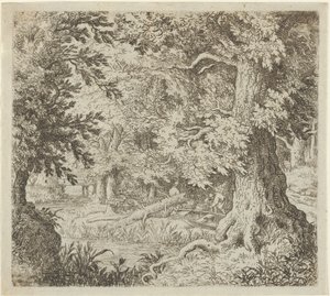 Bäcken i skogen, 1600-talet. av Allart van Everdingen