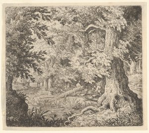 Bäcken i skogen, 1600-talet. av Allart van Everdingen