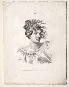 The Art of Lithography: Chef för en Amazonas.