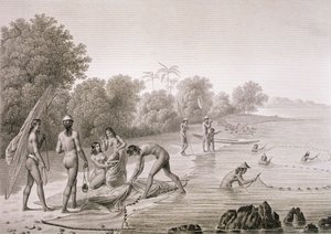 Traditionella fiskemetoder som används av infödingarna på Mariannaöarna, från "Voyage Autour du Monde (1817-20)", av Louis Claude Desaulses de Freycinet (1779-1842) graverad av Bovinet, publicerad 1822-24 (litho)