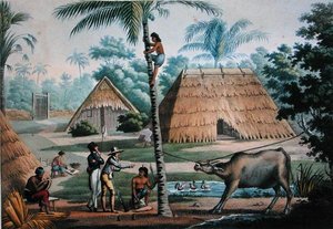 Utsikt över omgivningarna i Coupang, Timor, från 
