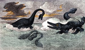Lias Period (Nedre Jurassic): Plesiosaur och Ichthyosaur, naturlig skapelse och levande varelser (av Jules Renegade) Teckning av A. Demarle. 1885