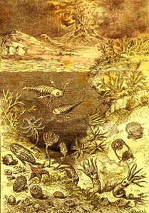 Förhistoria-Slutet av den siluriska perioden: Naturlig skapelse och levande varelser (J. Rengade) Ritning A. Demarle. 1885