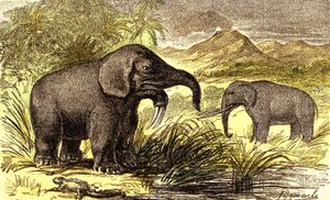 Förhistoria-miocenperiod: Från höger till vänster: Dinotherum och Mastodonte. Naturlig skapelse och levande varelser. Teckning av A. Demarle. 1885