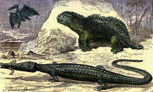Förhistoria - Juraperioden: Teleosauren och Hyleosauren. Pterodactylen på övervåningen. Naturlig skapelse och levande varelser. Teckning av A. Demarle. 1885