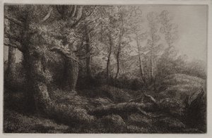 En skogsstudie av Alphonse Legros