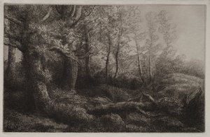 En skogsstudie. av Alphonse Legros