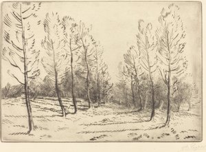 Avenue of Poplars av Alphonse Legros