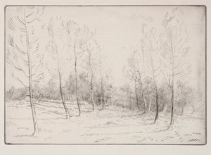 Avenue of Poplars av Alphonse Legros