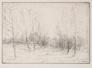 Avenue of Poplars. av Alphonse Legros
