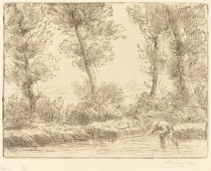 Bankerna av Liane Les bords de la Liane. av Alphonse Legros