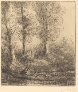 Banks of the Saint-Pre (Rive du Saint-Pre) av Alphonse Legros