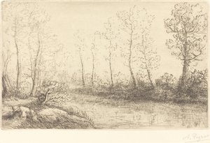 Björkträd: vattenkanten sett i morgonljus av Alphonse Legros