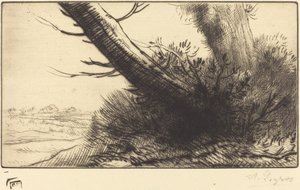 Hörn av en stig av Alphonse Legros