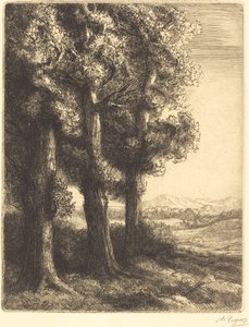 Corner of a Wood (Coin d