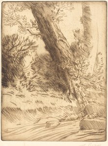 Edge of a Brook (Bord de ruisseau) av Alphonse Legros
