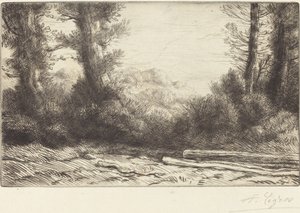 Edge of a Wood (Lisiere de bois) av Alphonse Legros