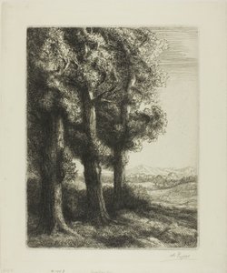 Edge of a Wood av Alphonse Legros