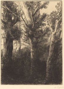 German Forest, Downley. av Alphonse Legros