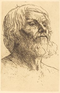 Head of a Man (Tete d