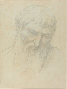 Huvud av en man med lockigt hår och skägg. av Alphonse Legros