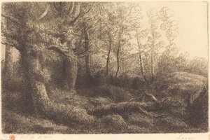 I skogen (Lisiere de foret) av Alphonse Legros