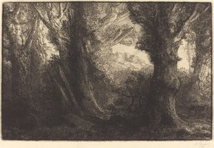 I skogen Conteville Dans la foret de Conteville. av Alphonse Legros