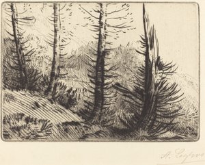 I Pyrenéerna I Pyrenéerna. av Alphonse Legros