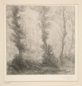 Lilla sjön av Alphonse Legros