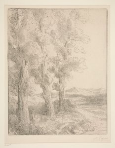 Kvinna som läser: Lektion under träden av Alphonse Legros