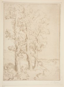 Kvinna som läser: Lektion under träden av Alphonse Legros