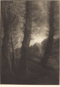 Stora träd sett mot solen Stora träd: kvällseffekt. av Alphonse Legros