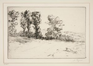 Le pre ensoleille (Äng i solsken) av Alphonse Legros