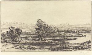 Torvmossar Les Tourbieres. av Alphonse Legros