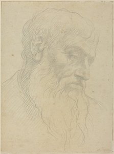 Studie av ett huvud av Alphonse Legros