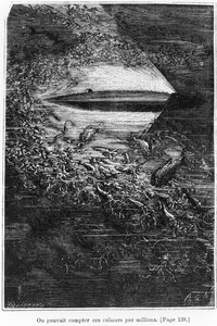 Illustration från "20 000 mil under havet" av Jules Verne (1828-1905), graverad av Henri Theophile Hildibrand (1824-97) 1877. av Alphonse Marie de Neuville