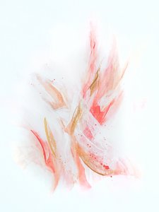 Fluid Blush Gold – abstrakt av Alyson Storms