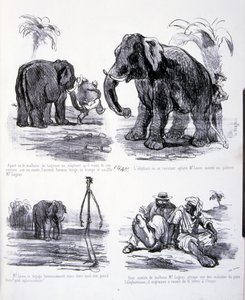 illustration för Konsten att göda och gå ner i vikt av Amédée de Noé