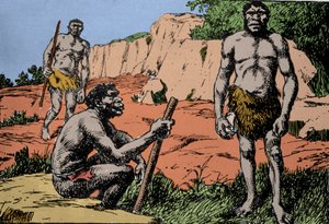 Förhistoria: representation av Homo rhodesiensis eller mannen från Broken Hill, förfader till Homo sapiens, vars fossiler upptäcktes i Rhodesia (dagens Zambia i Afrika). Teckning av A. Forestier. DR
