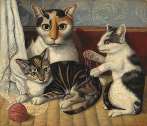 Katt och kattungar