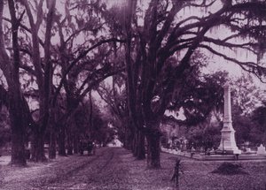 Bonaventure Cemetery, Savannah, Georgia (s/v foto) av American Photographer (after)