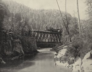Bron i Animas Canyon, Colorado (s/v foto) av American Photographer (after)